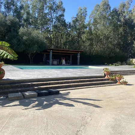 Gambula